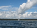 Past Tensmuir